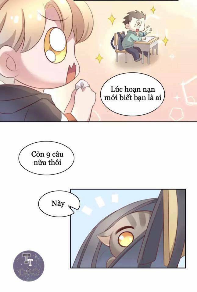 Dưới Móng Vuốt Mèo: Chapter 21