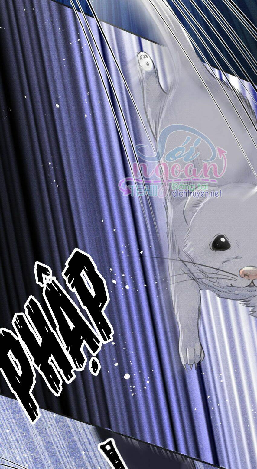 Nhất Kiếm Sương Hàn: Chapter 22