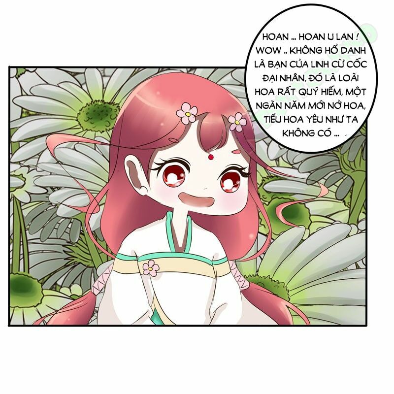 Thông Linh Phi: Chapter 60