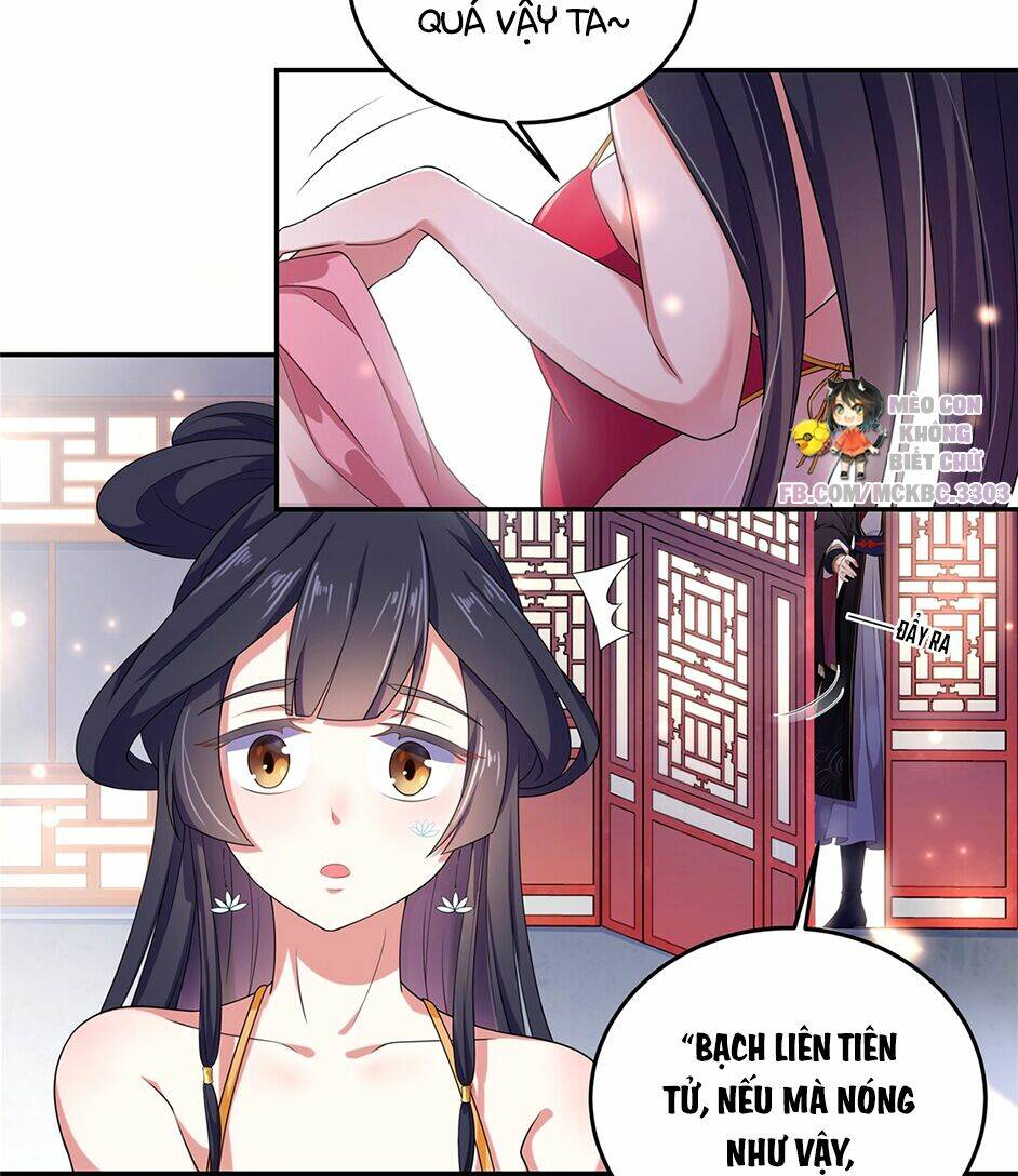 Báo Cáo! Đế Quân Ngài Có Độc!: Chapter 1