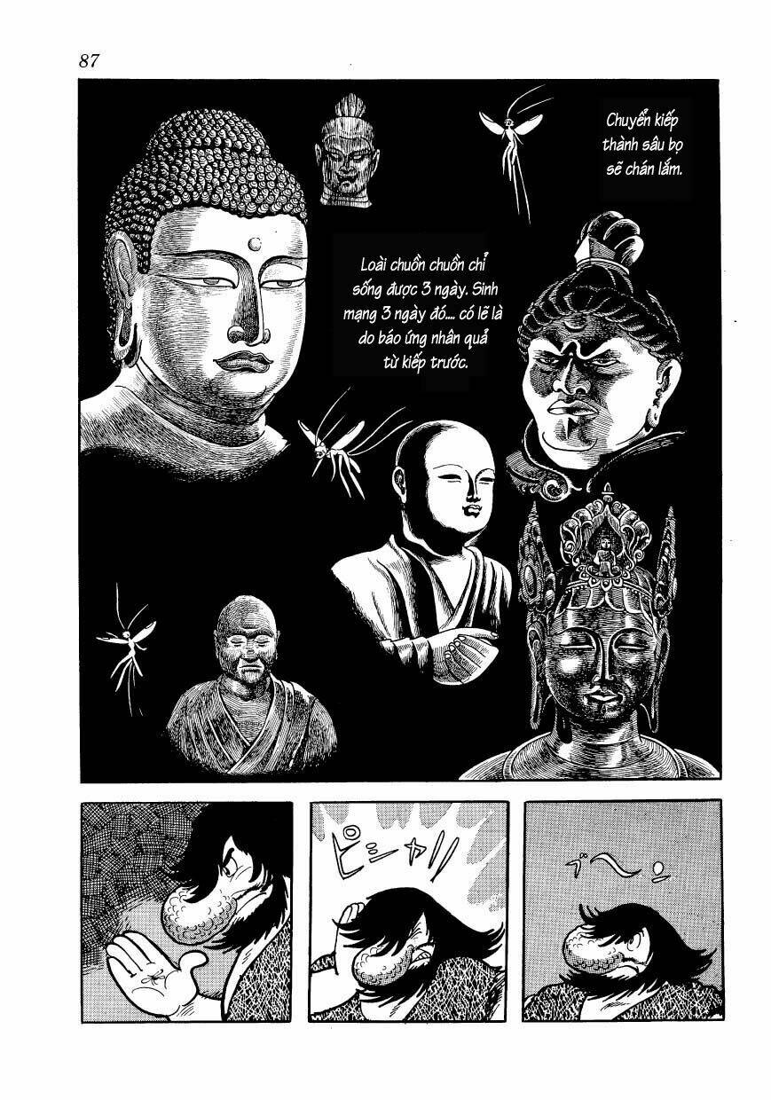 Chim Lửa: Chapter 46