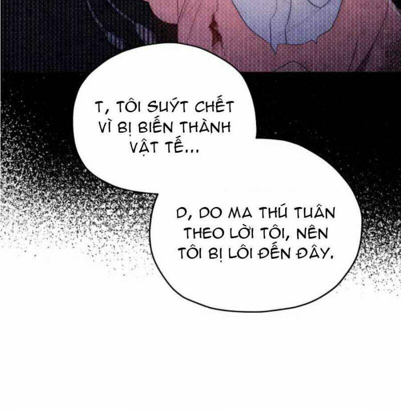 Nàng Elizabeth Thuần Khiết: Chapter 2