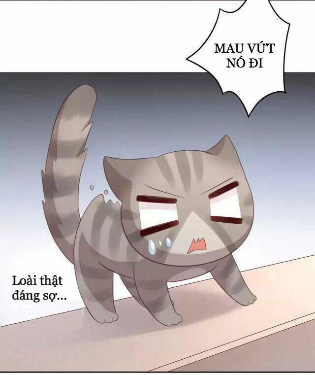 Dưới Móng Vuốt Mèo: Chapter 20
