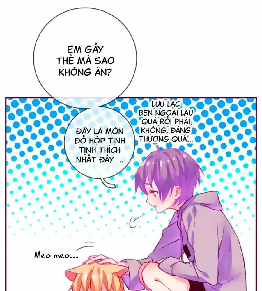 Đừng Nghịch, Ta Chỉ Muốn Yên Tĩnh: Chapter 61