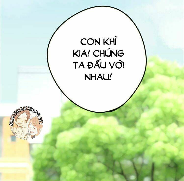 Viện Bảo Tàng Tâm Nguyện: Chapter 4.1