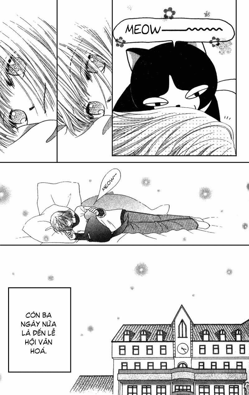 Dự Án Kéo Vàng: Chapter 4