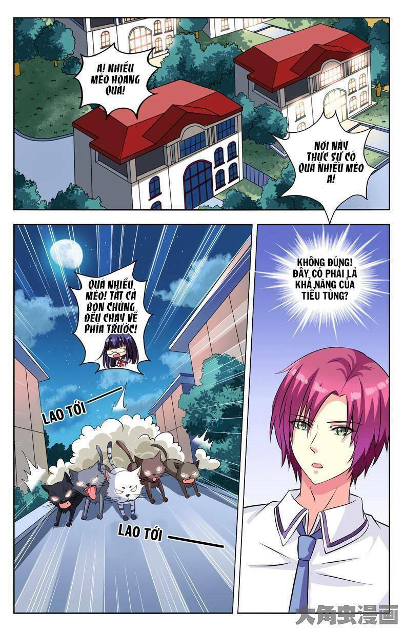 Nam Thần Của Tôi: Chapter 54