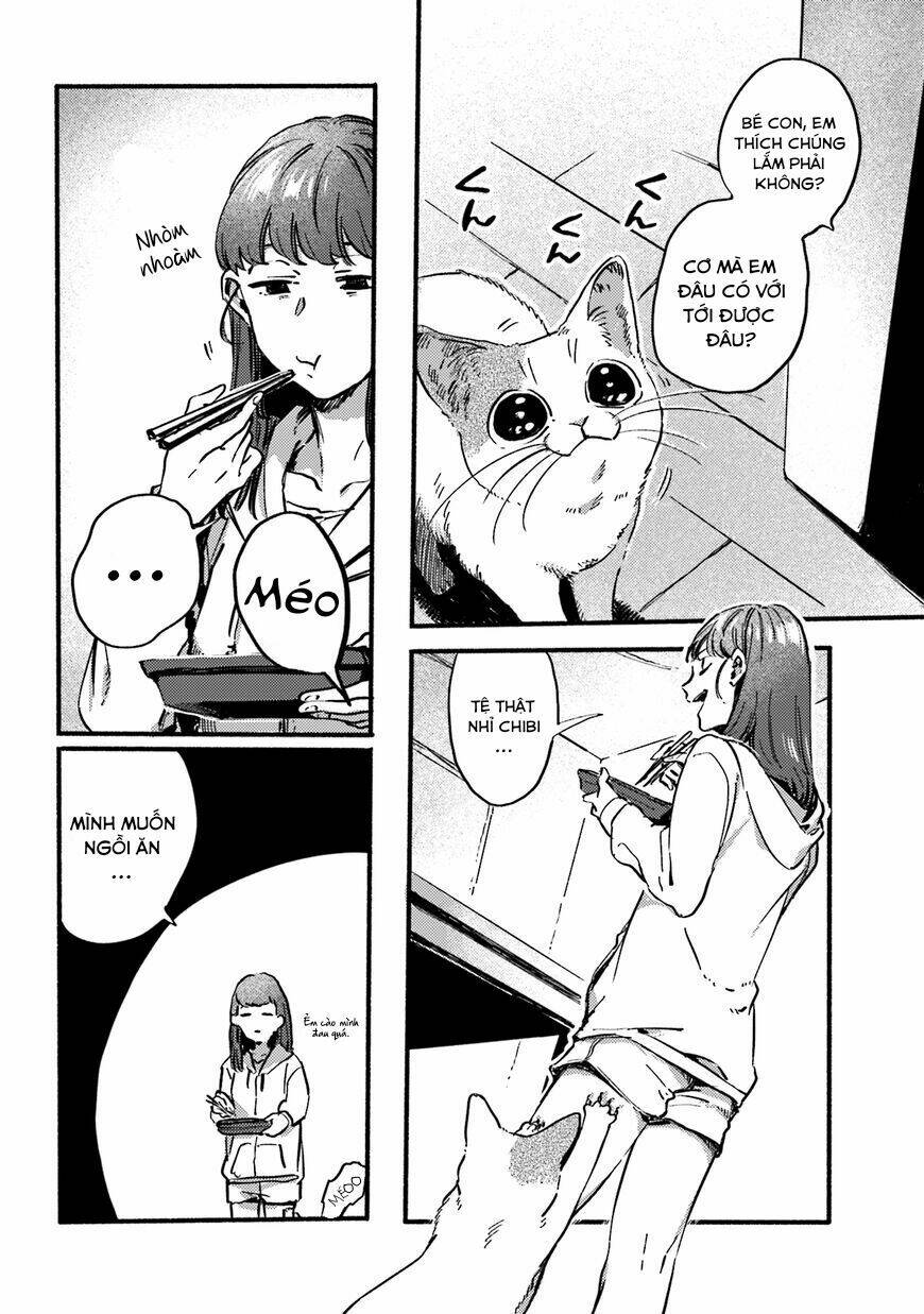 Nekodamari: Chapter 13