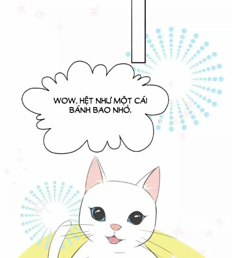 Mùi Hương Lãng Mạn: Chapter 37