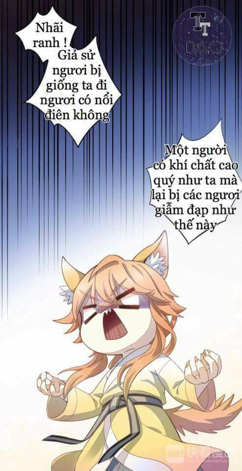 Dưới Móng Vuốt Mèo: Chapter 1