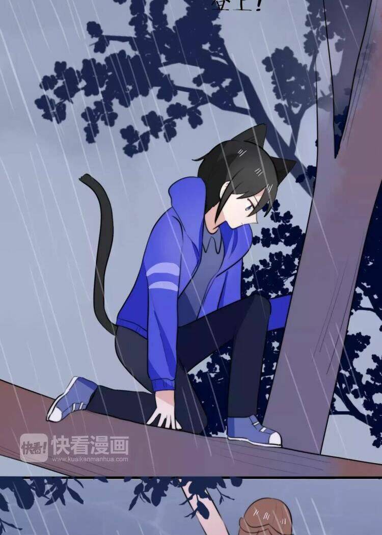 Tiểu Miêu Và Hắc Diệu Thạch: Chapter 14