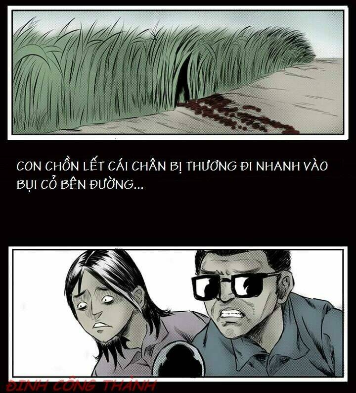 Thầy Súng Kể Chuyện Ma: Chapter 8