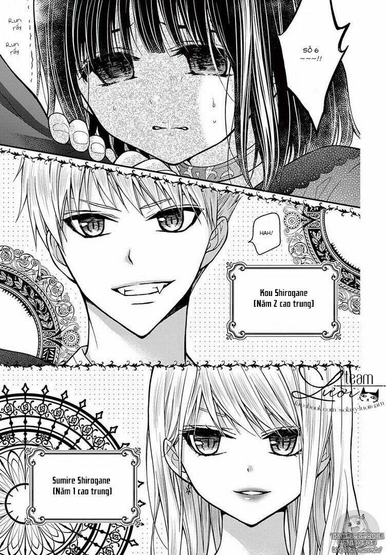 Máu Của Cậu Chỉ Thuộc Về Mình Tớ...: Chapter 17