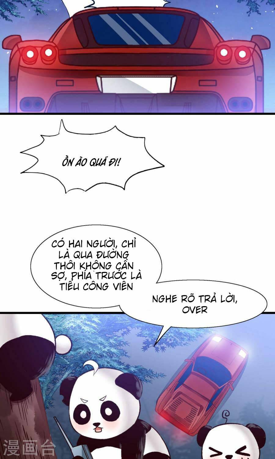 Tôi Bị Gấu Trúc Nhìn Trúng Rồi: Chapter 10