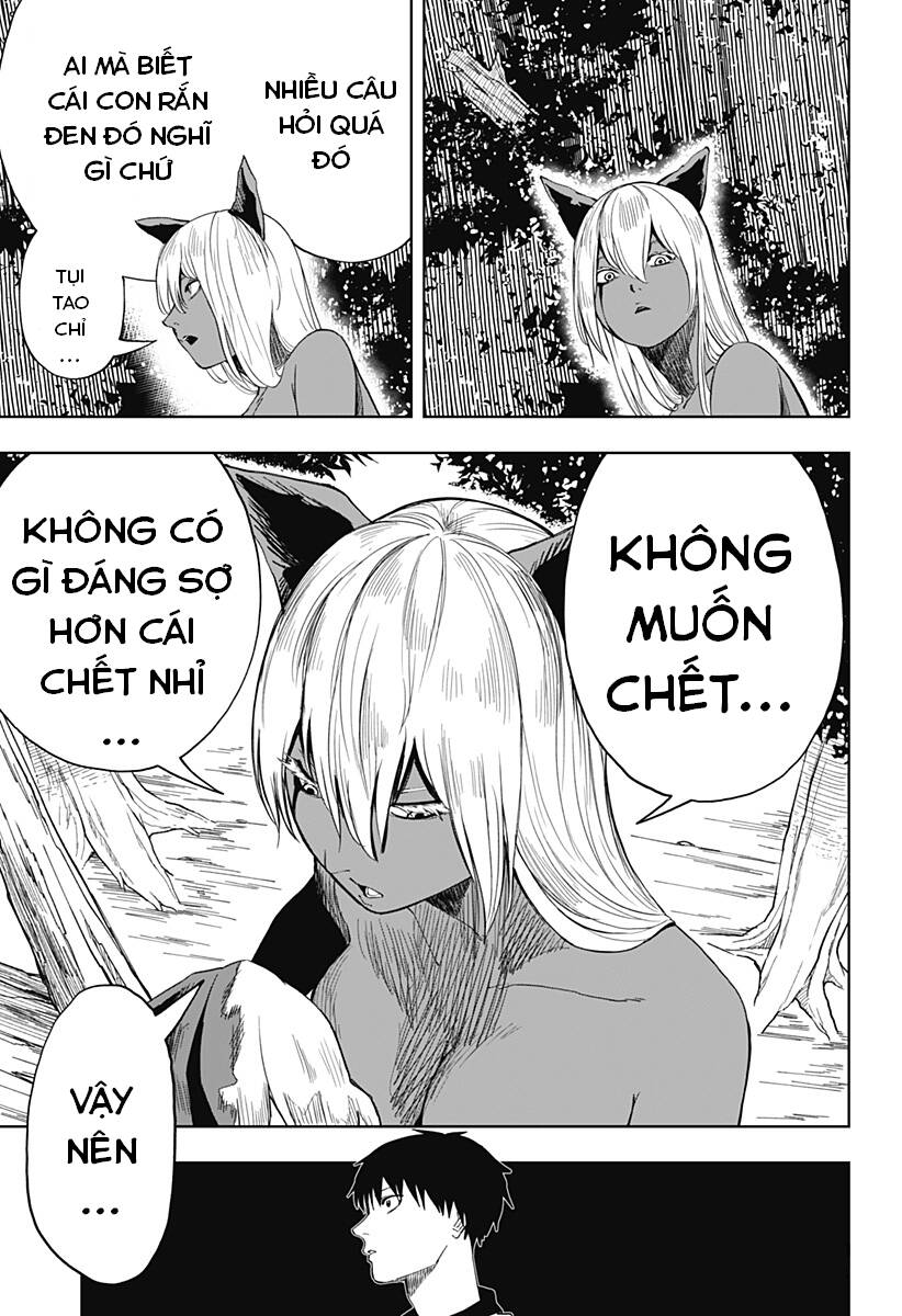 Stage S: Chapter 8