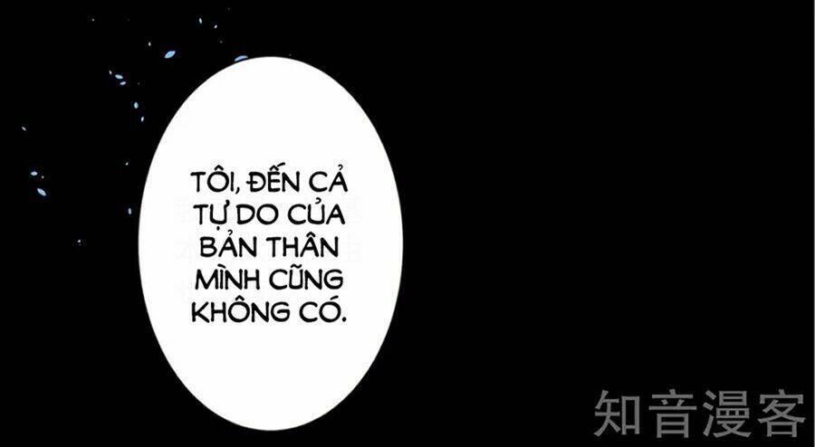 Tôi Bị Tổng Tài Ám Hại: Chapter 145