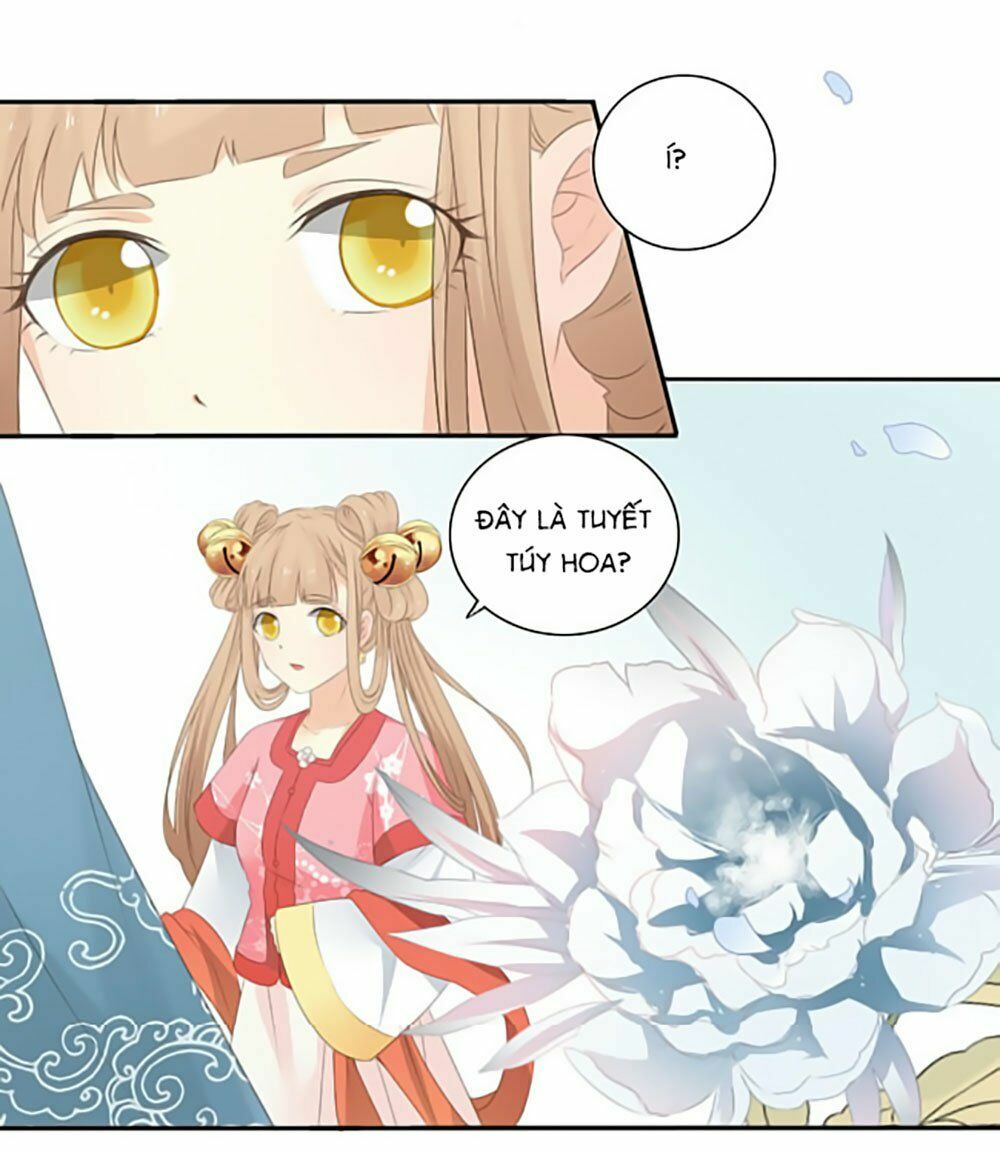 Quy Tự Dao: Chapter 17