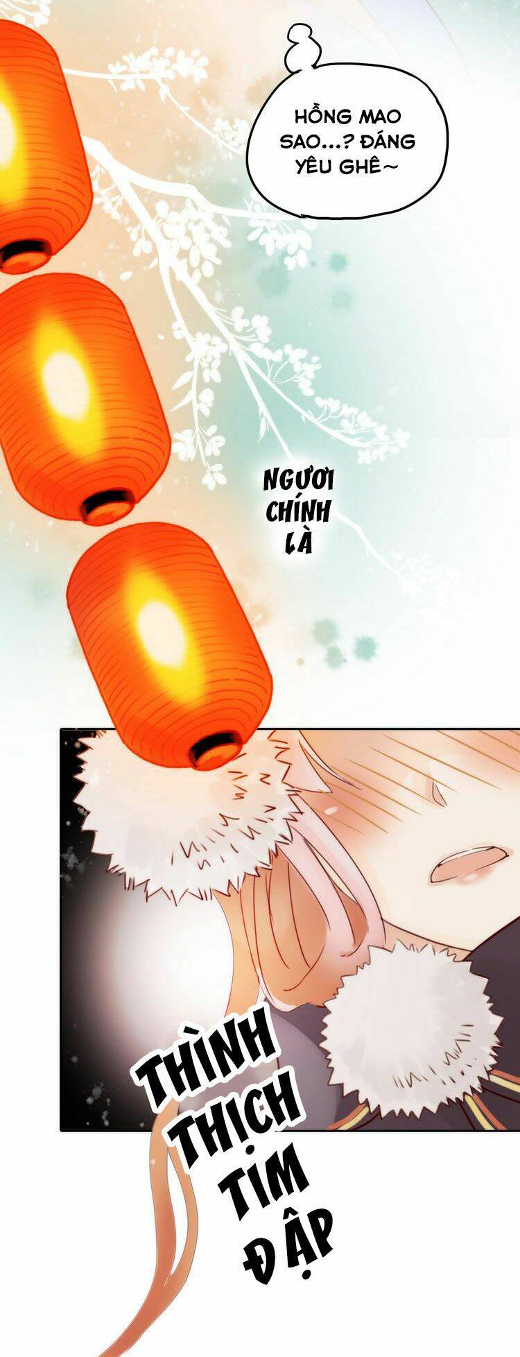 Cướp Lấy Nàng Dâu Mừng Năm Mới: Chapter 1.5