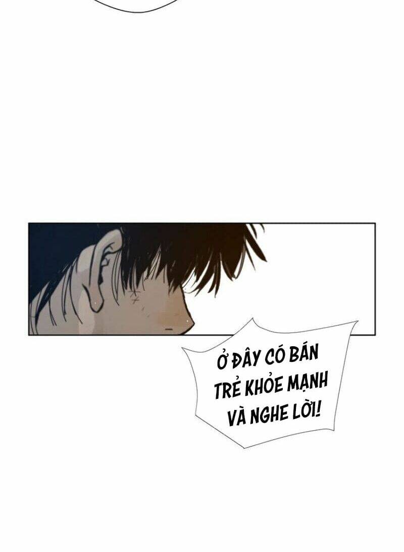 Vinh Quang Kiếm: Chapter 43
