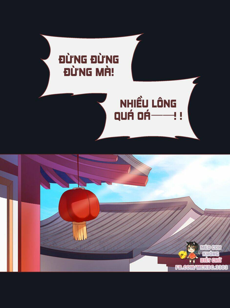 Boss Khủng Bố Chiếm Đoạt Ta: Chapter 7