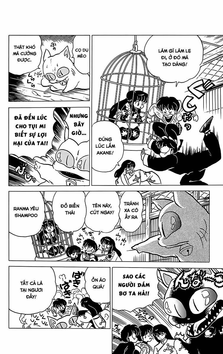 Suối Lời Nguyền: Chapter 209