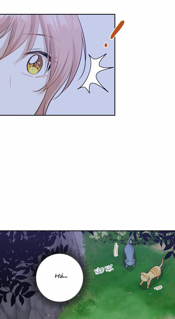 Cuộc Sống Kỳ Thú: Chapter 97