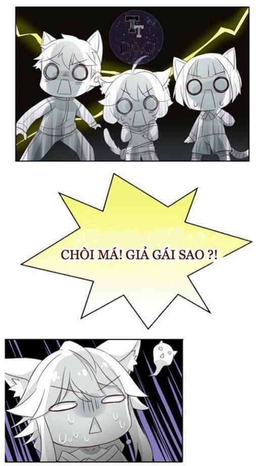 Dưới Móng Vuốt Mèo: Chapter 5