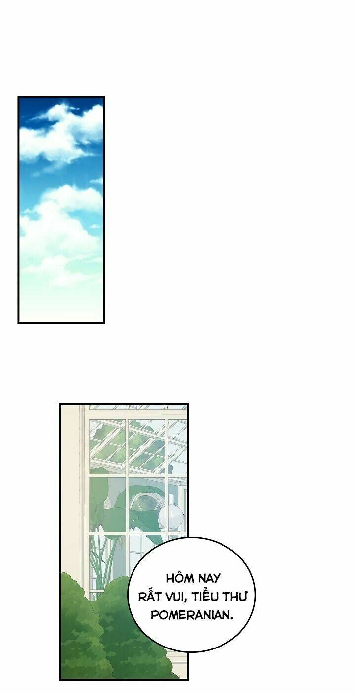 Đừng Chọc Đứa Em Gái Bé Bỏng Của Chúng Tôi: Chapter 50