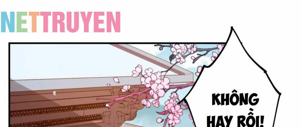 Đích Nữ Kiều Phi: Chapter 12