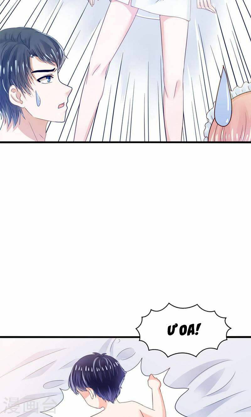 Tôi Bị Gấu Trúc Nhìn Trúng Rồi: Chapter 19