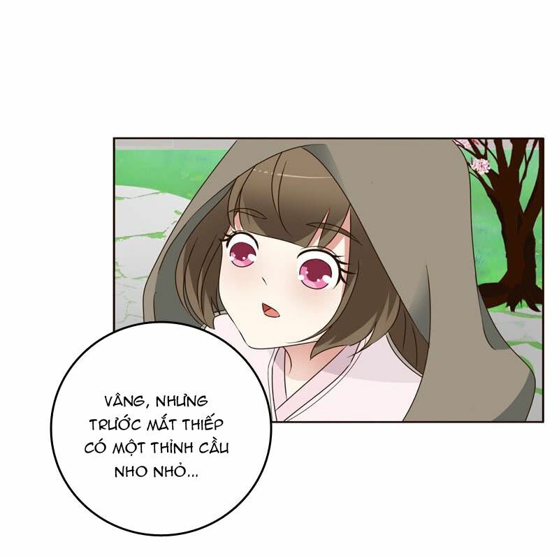 Thông Linh Phi: Chapter 238
