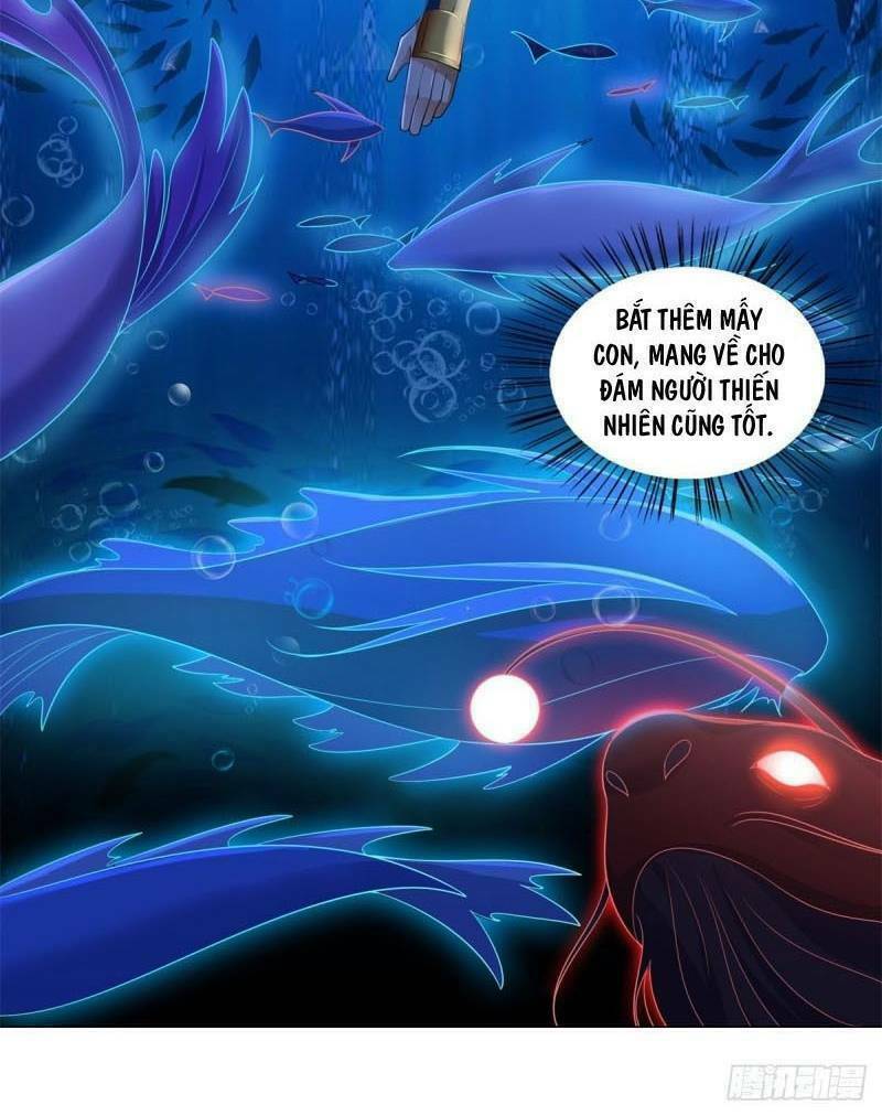 Chí Tôn Trọng Sinh: Chapter 40