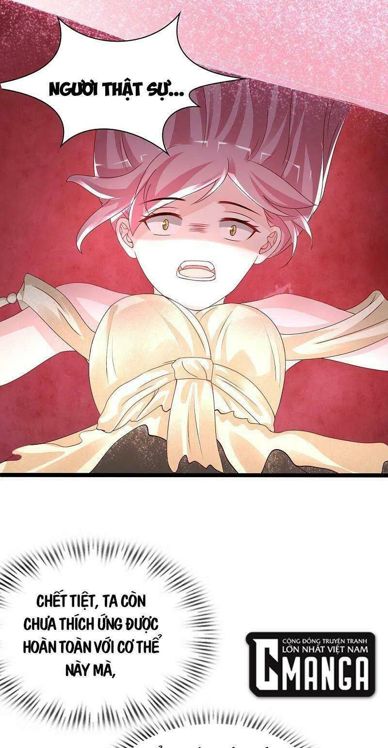 Tối Cường Vận Đào Hoa: Chapter 245