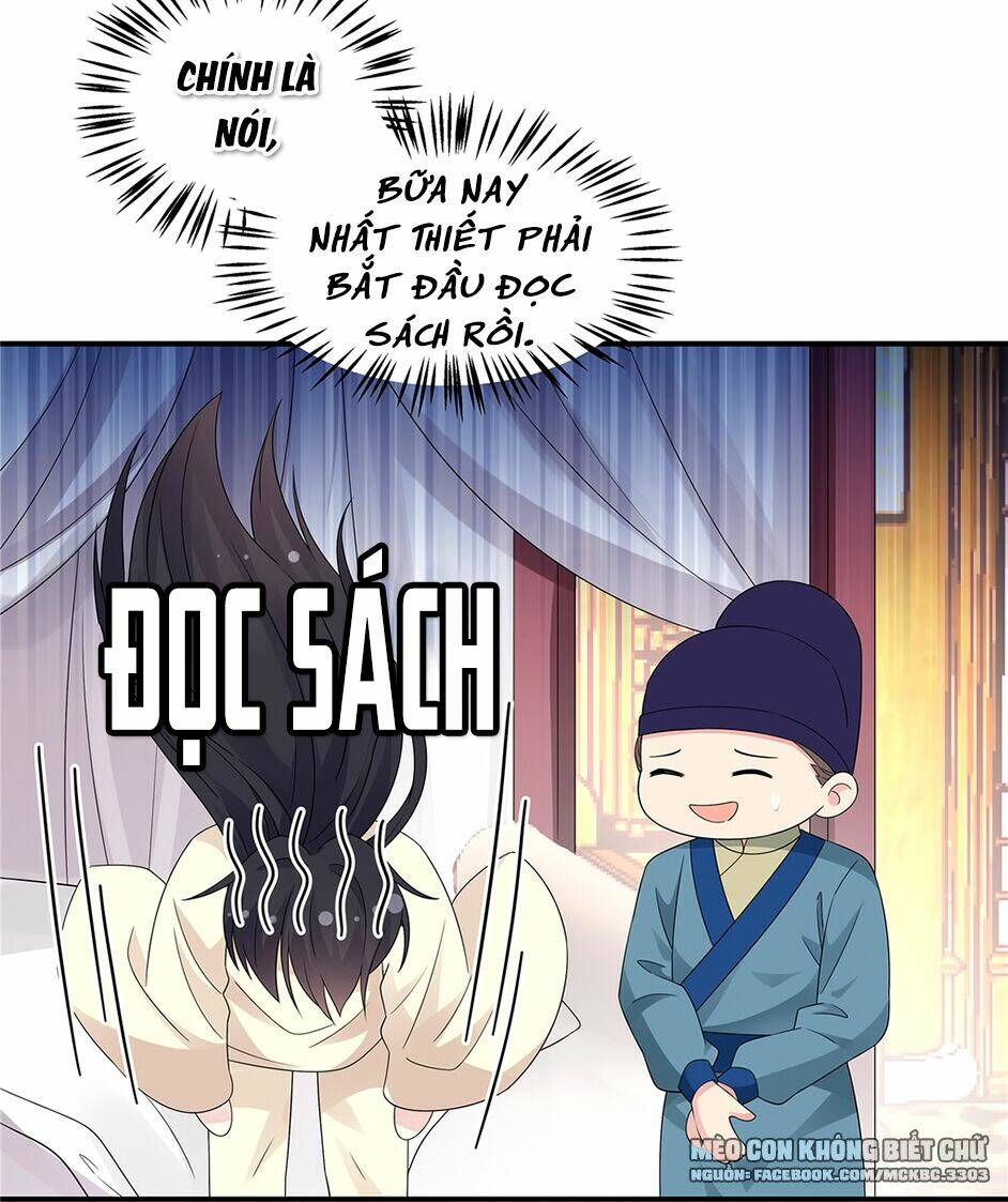 Báo Cáo! Đế Quân Ngài Có Độc!: Chapter 26