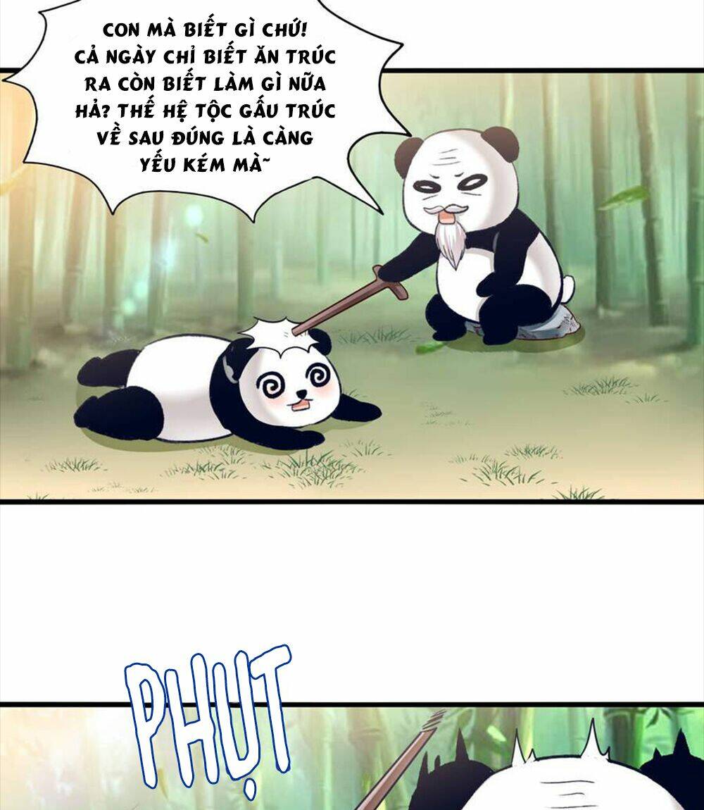 Tôi Bị Gấu Trúc Nhìn Trúng Rồi: Chapter 9