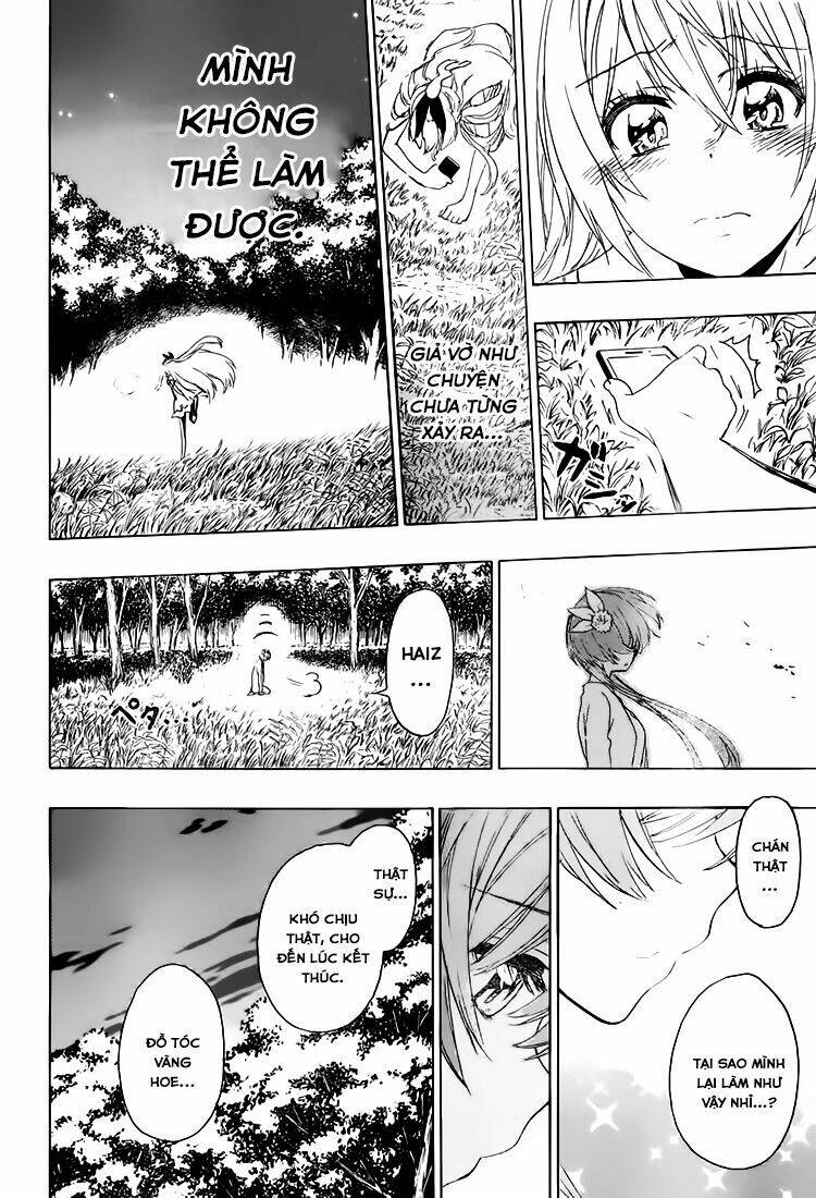 Tình Yêu Ngang Trái: Chapter 224