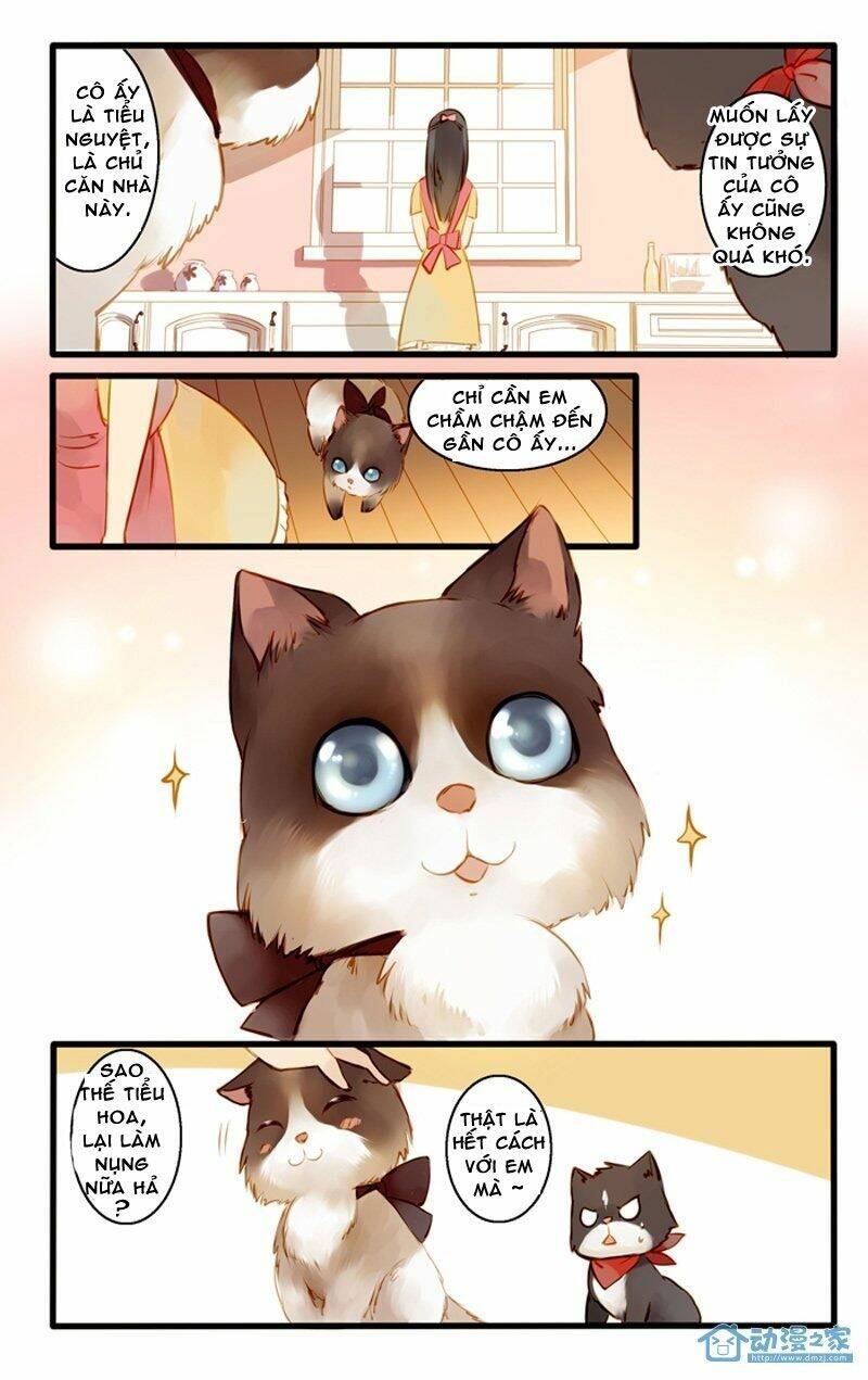 Hằng Mộng Nam Thần: Chapter 22