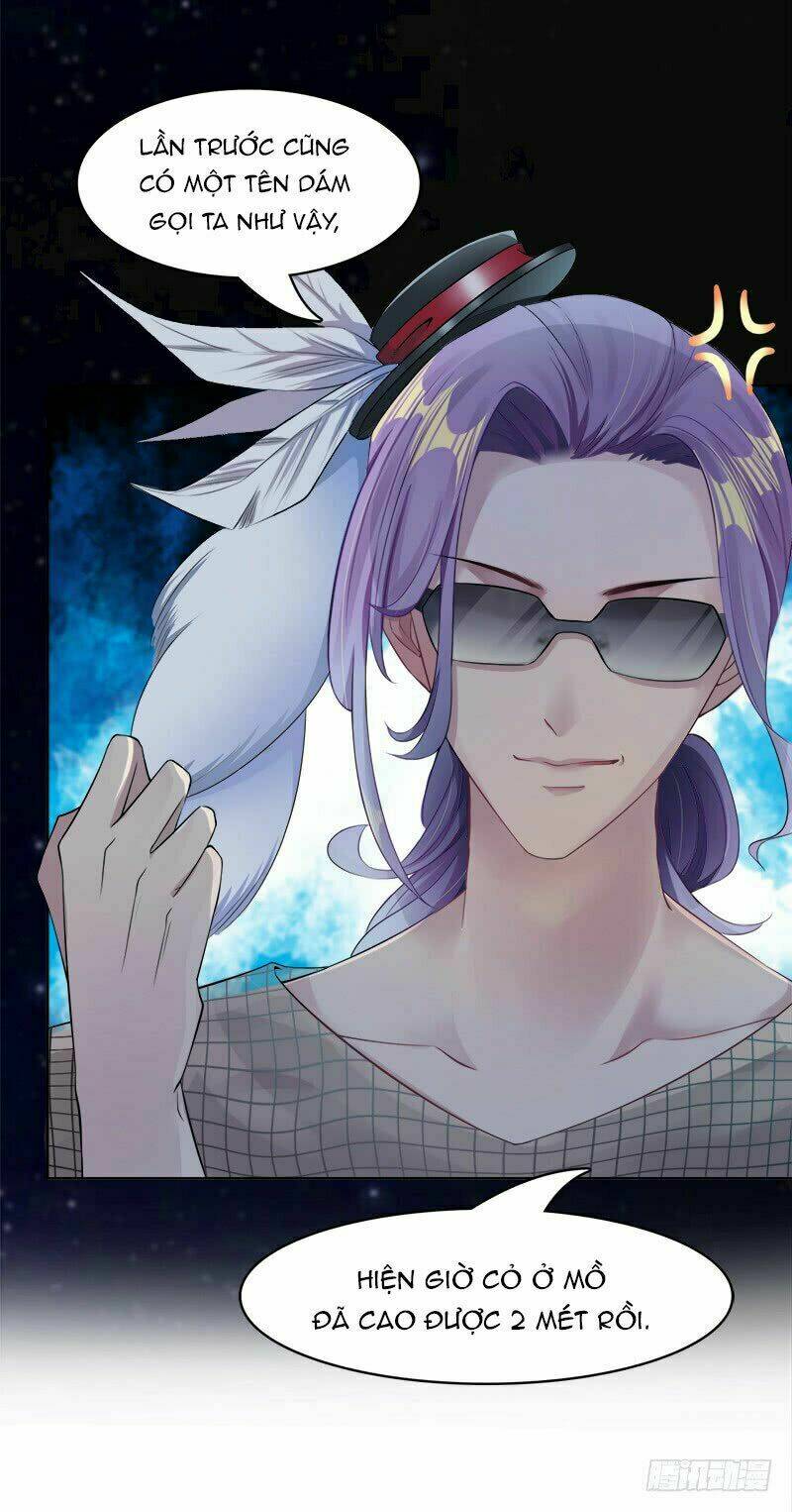 Lãnh Hôn Cuồng Ái: Chapter 5