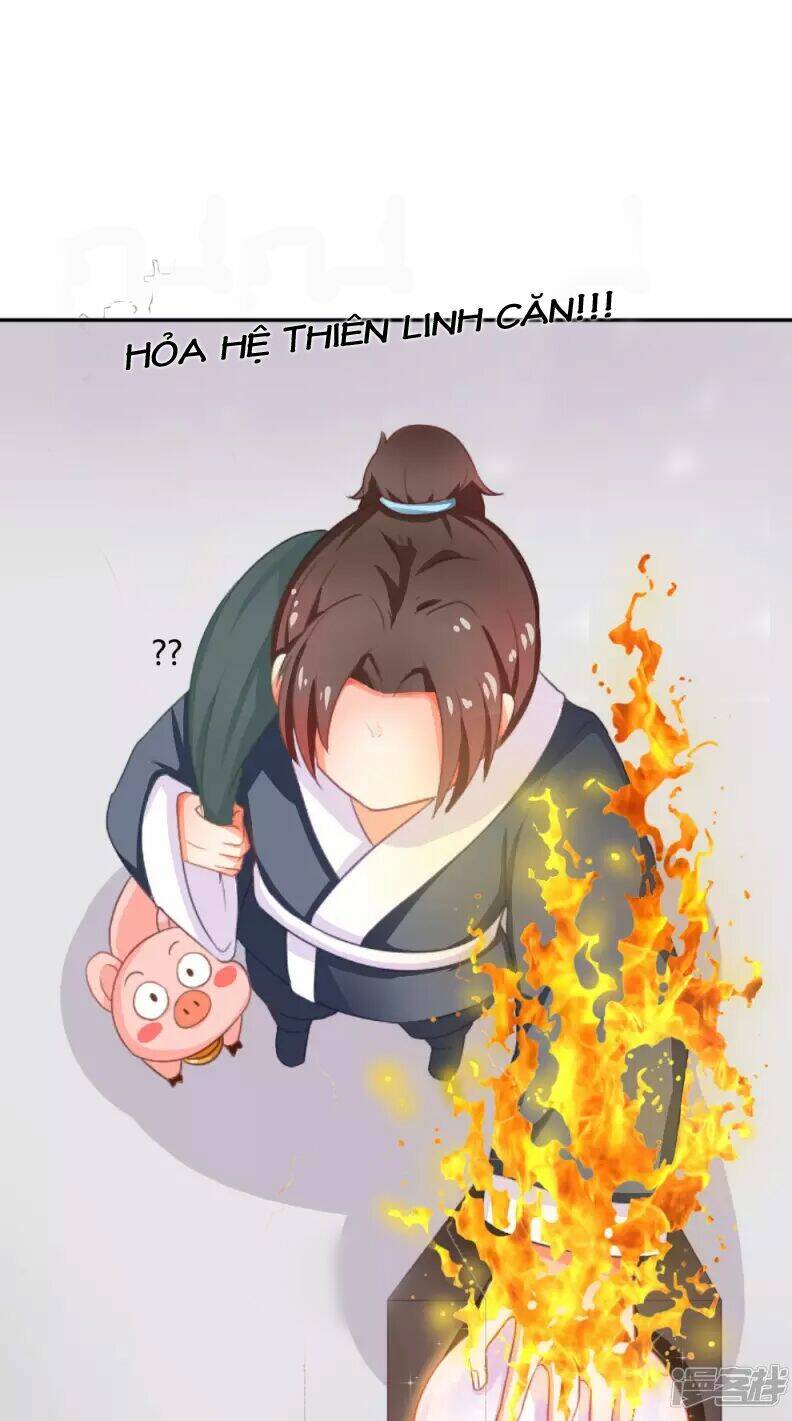 Đệ Tử Của Ta Là Heo: Chapter 2