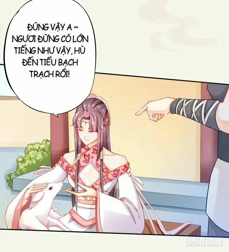 Tuyệt Thế Luyện Đan Sư: Chapter 12