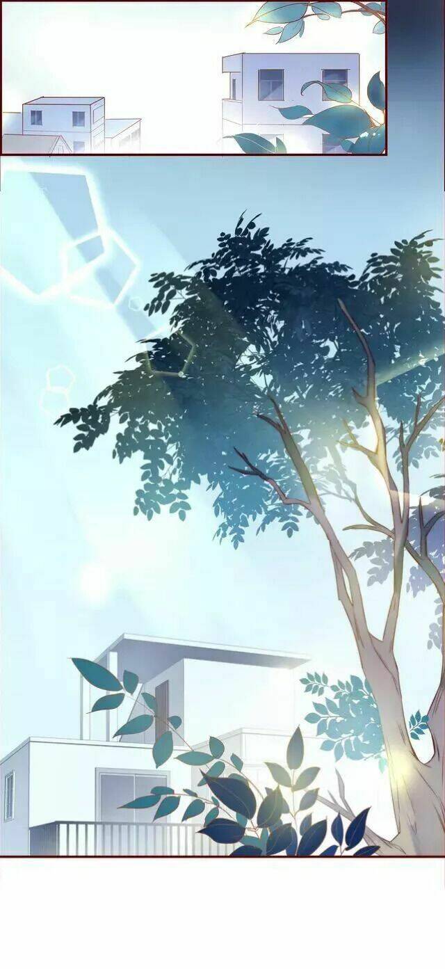Hoa Hồng Trên Gai: Chapter 7