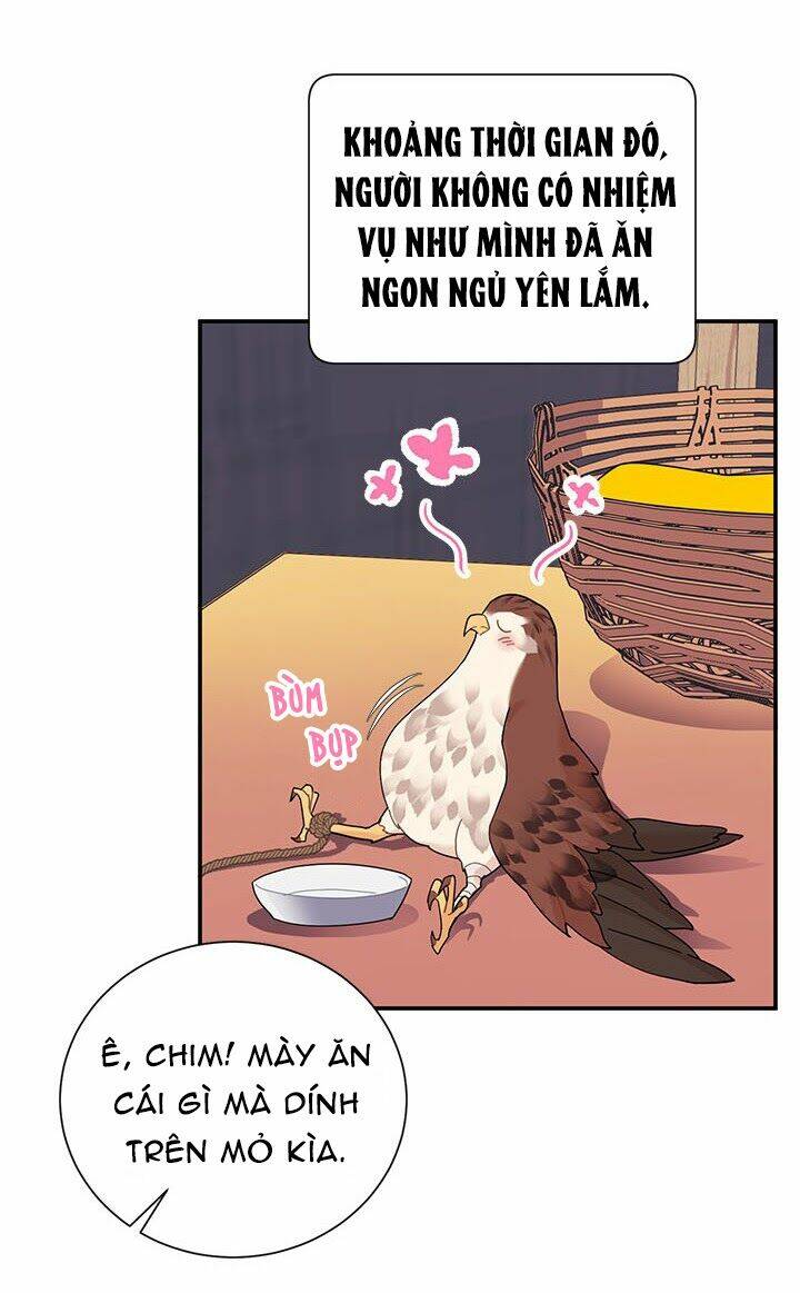 Công Chúa Của Loài Chim: Chapter 19