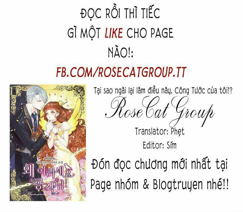 Công Tước, Loạn Vừa Thôi!: Chapter 17