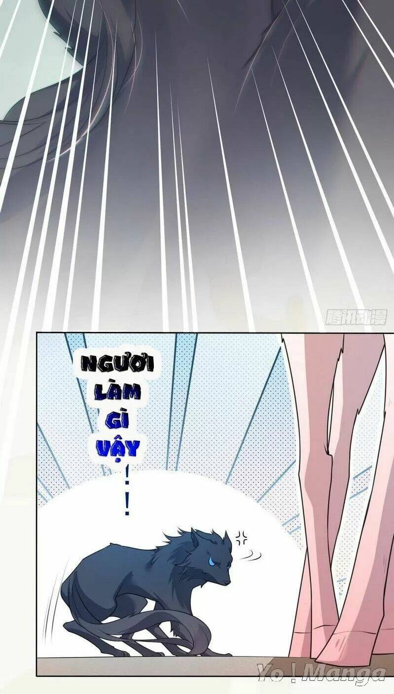 Tuyệt Thế Luyện Đan Sư: Chapter 153