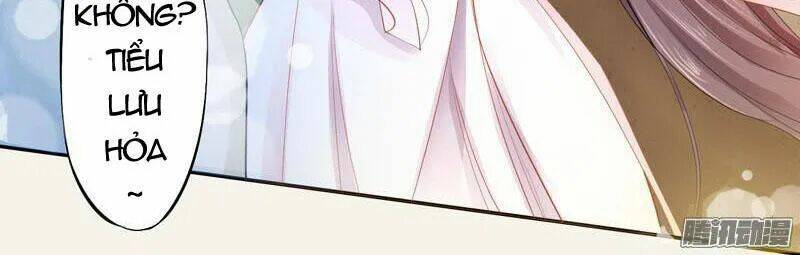 Tuyệt Thế Luyện Đan Sư: Chapter 8