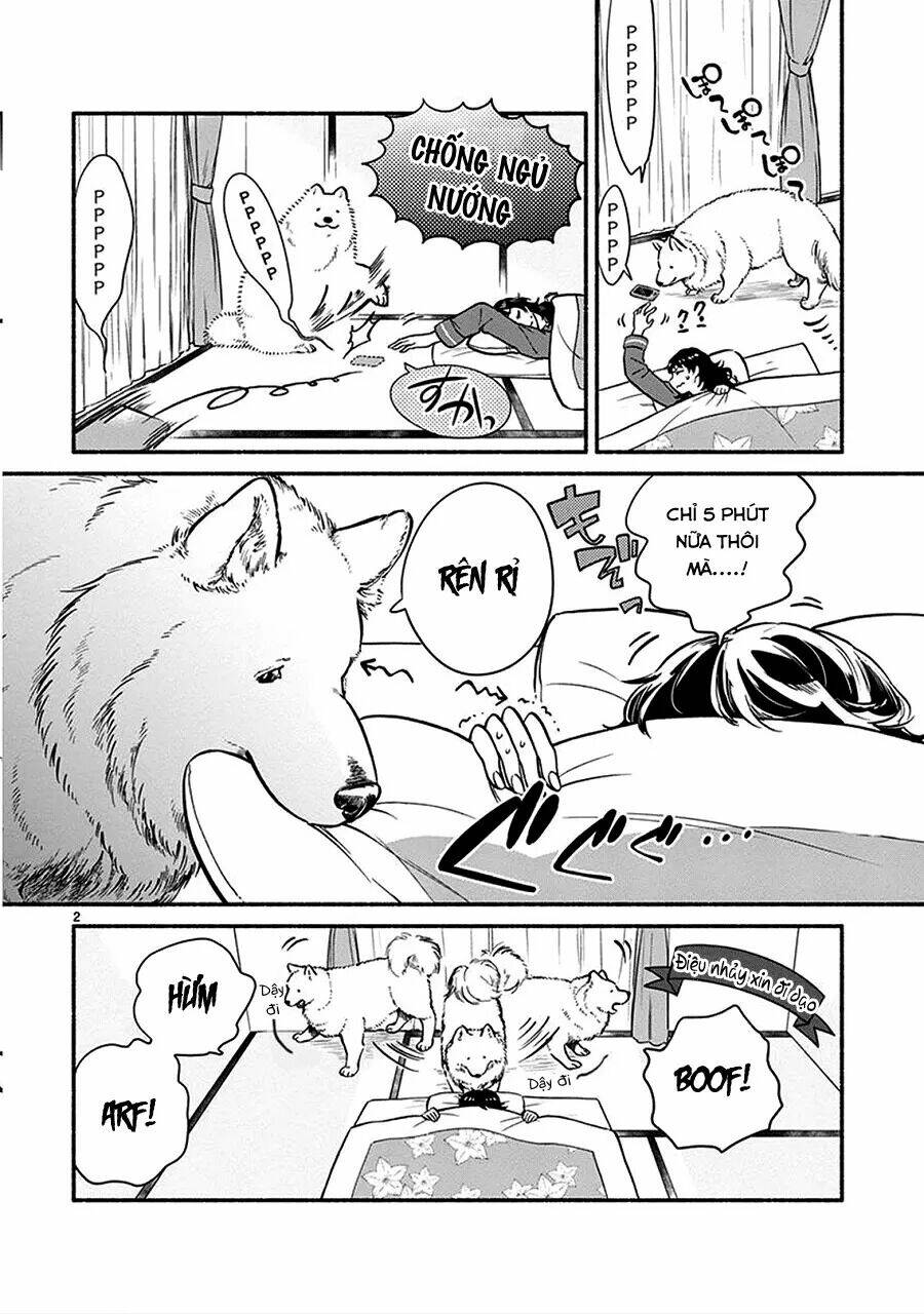 One-Room Wanko: Chapter 1