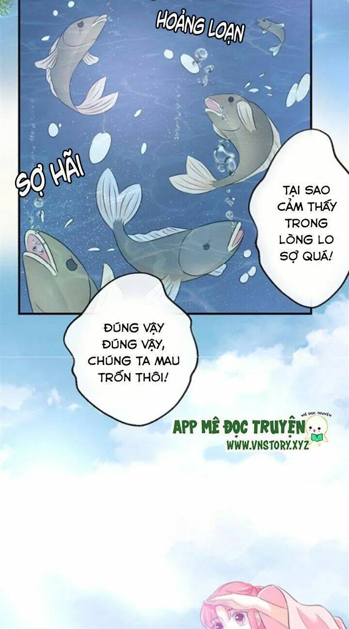 Cẩm Lý Thiếu Nữ Của Tôi: Chapter 70