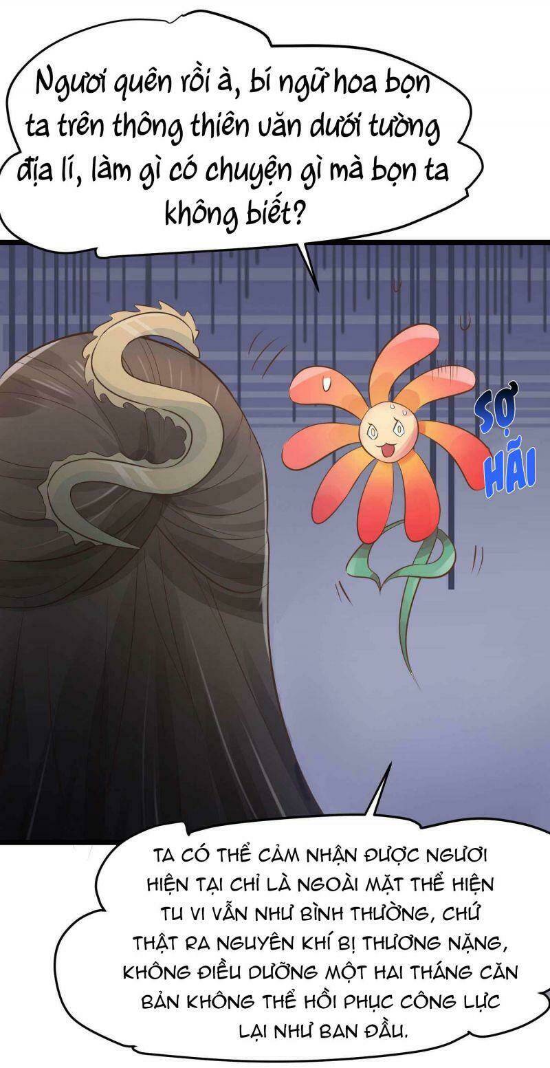 Đặc Công Cuồng Phi: Tuyệt Thế Tu Chân: Chapter 8