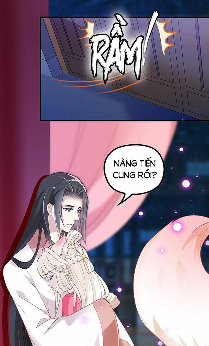 Vương Phi Thật Uy Vũ: Chapter 45