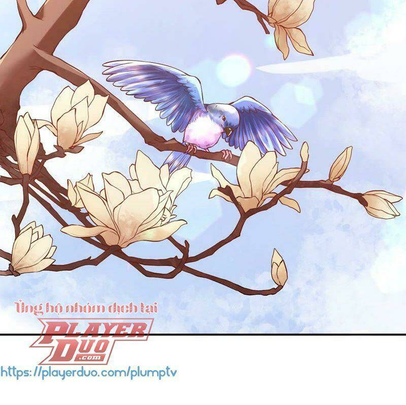 Quận Chúa Vững Vàng, Thiết Lập Nhân Vật Không Thể Vỡ: Chapter 3